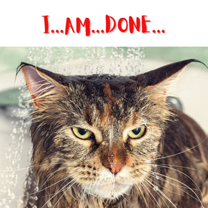 You’ve Done the Work… So Why Do You Still Feel Stuck?